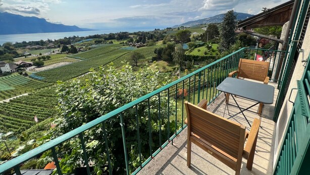 Un balcon avec vue sur les vignes et un lac.