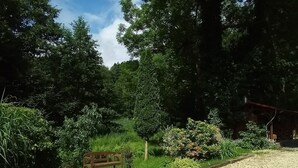 Een grindpad dat leidt naar een houten bankje, omringd door weelderig groen en bomen.