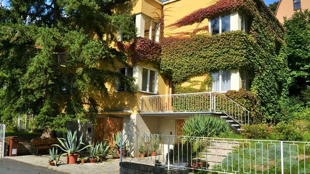 A multi-story building with a yellow facade, covered in green and red ivy, and a white balcony railing. - Daniela by Interhome (Carlsbad)