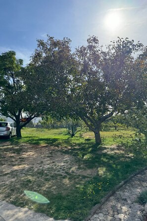 Ein von Bäumen gesäumter Weg mit einem geparkten Auto und blauem Himmel.