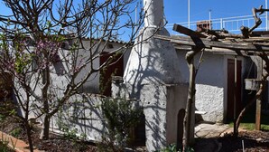 A rustic building with a chimney, a small garden with flowering plants, and a clear blue sky. - Gemütliche Wohnung in Meeresnähe by Interhome (Fažana)