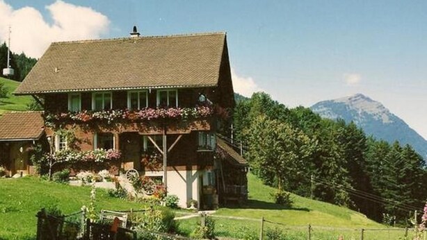 Un chalet a due piani con tetto spiovente, immerso nel verde e con una montagna sullo sfondo.