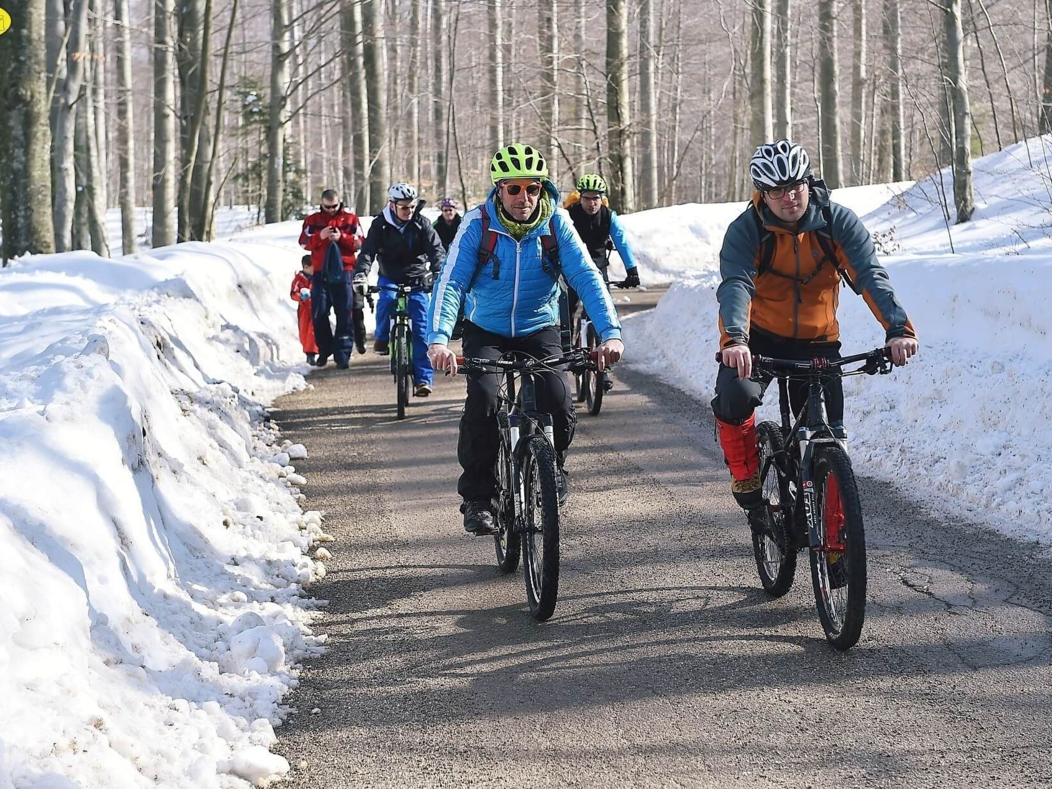 En gruppe cyklister på en snedækket vej omgivet af træer.
