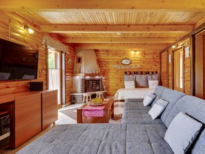 Fernseher, Kamin, DVD-Player