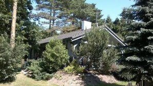 A house with a sloped roof, surrounded by dense trees and a wooden fence. - Blaues Haus by Interhome (Poddąbie)