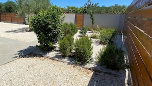 Ein angelegter Garten mit Kieswegen, verschiedenen Sträuchern und einem Holzzaun.