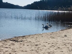 Beach - Gemütliches Ferienhaus mit Garten und Seeblick by Interhome (Kolczewo)