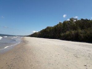 Een strand met een zandstrand en een bebost gebied op de achtergrond.