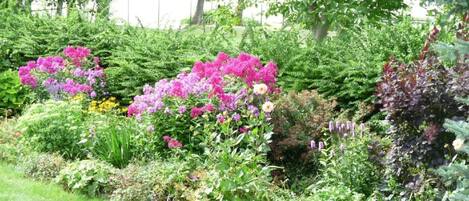 Áreas de la propiedad