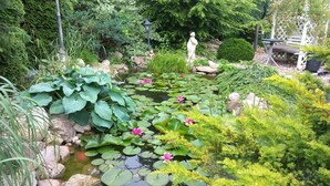 Un jardin avec un étang, des rochers et différentes espèces de plantes.