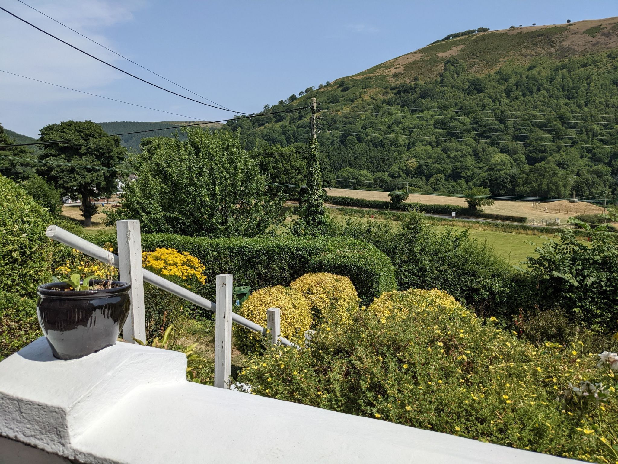 Un paysage rural avec une clôture blanche, une plante en pot et des fleurs jaunes.