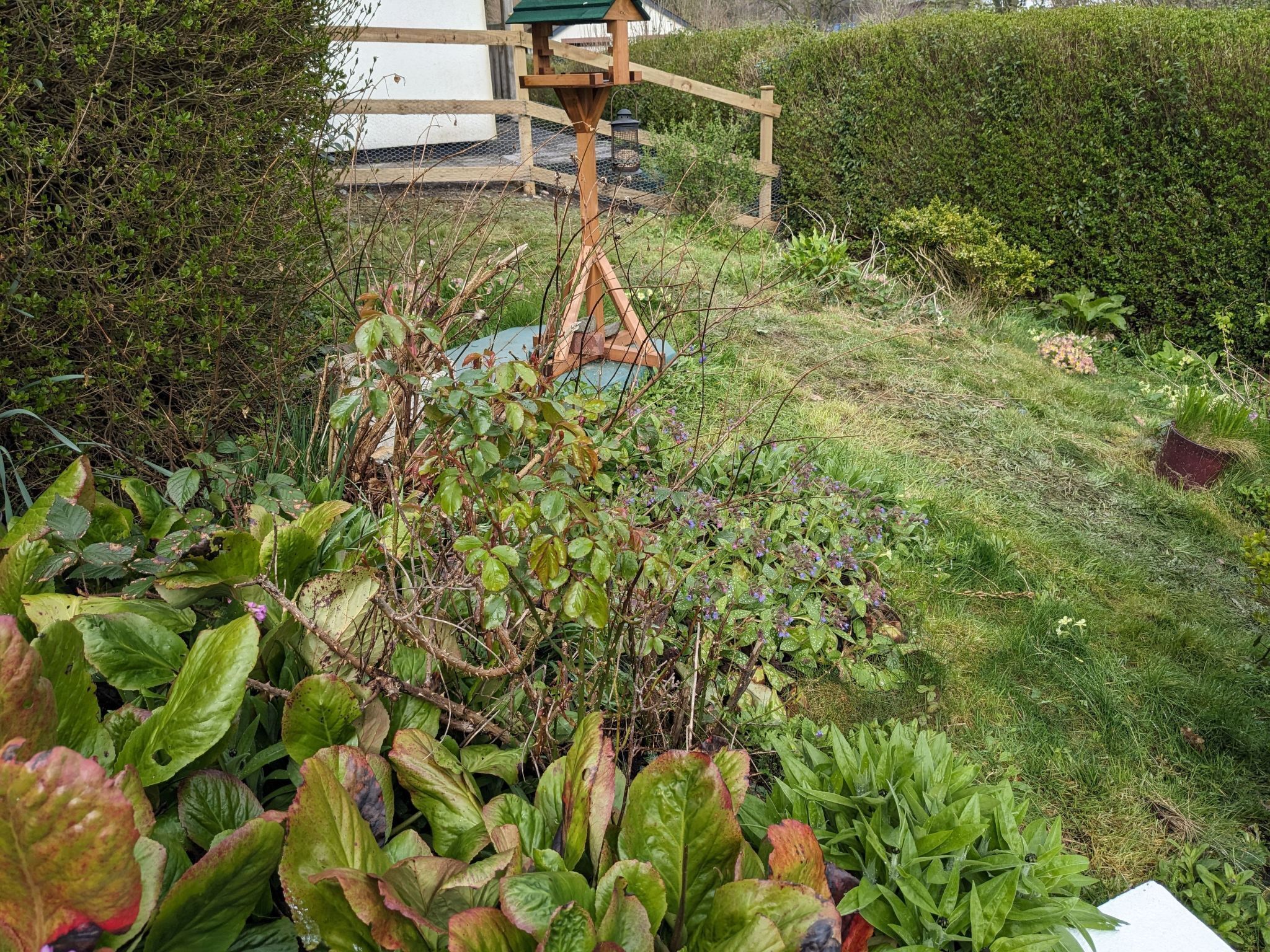 Parco della struttura