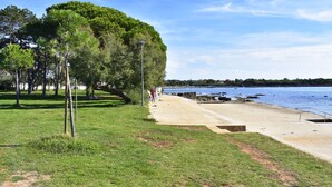Un parc avec un sentier pédestre, des arbres et une plage, le tout sous un ciel dégagé.
