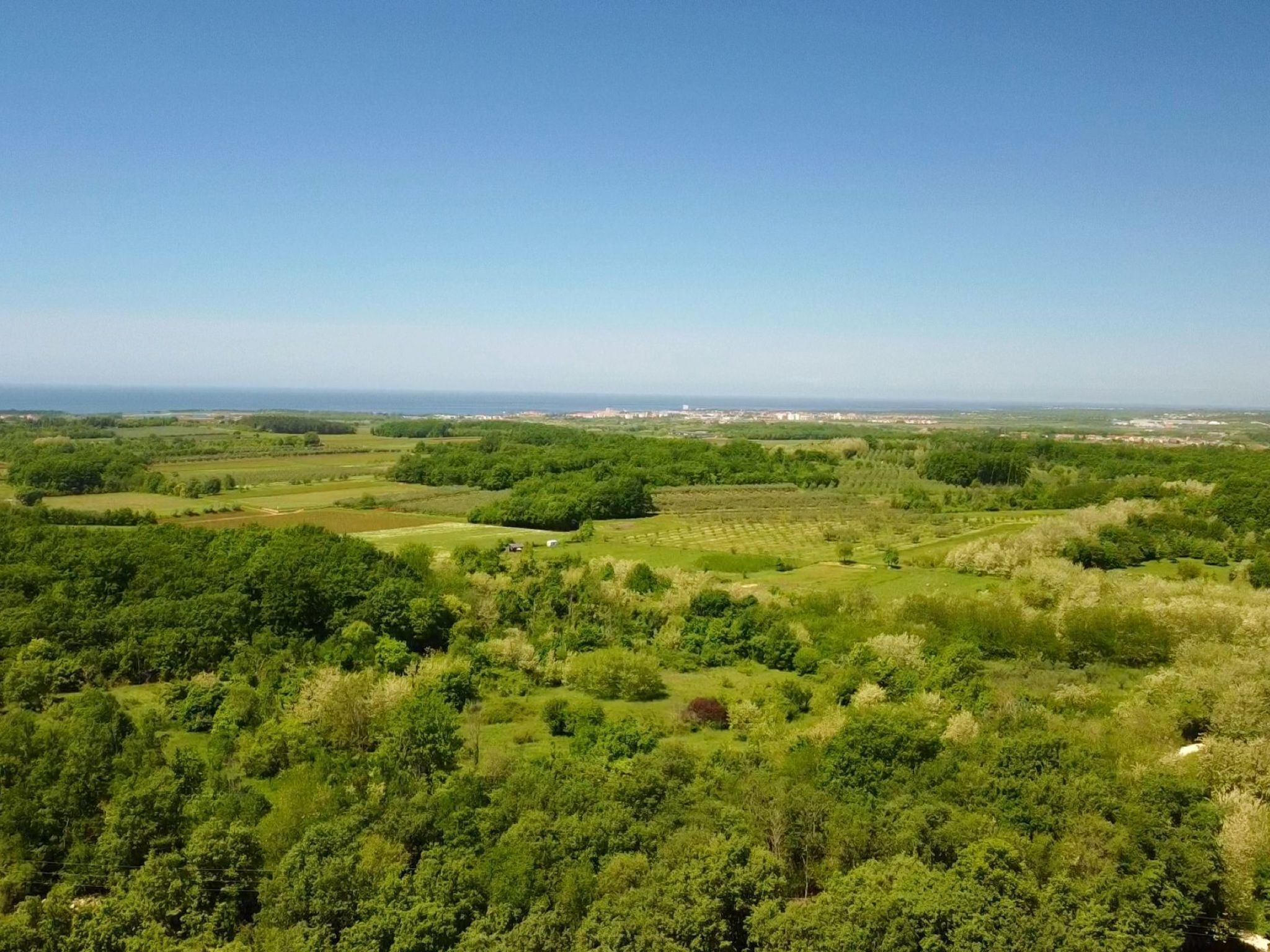 A panoramic view of a lush green landscape with rolling hills and a distant view of a coastline.
