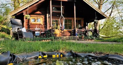 Finnisches Holzhaus by Interhome