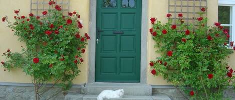 DĂ©tail de lâextĂ©rieur