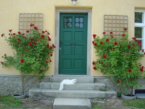 Detalhe da fachada