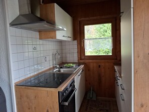 Fridge, oven, cookware/dishes/utensils - Marco in Eppenschlag by Interhome (Eppenschlag)