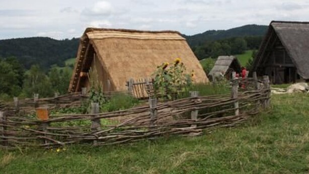 Ein rustikales Holzhaus mit einem strohgedeckten Dach, umgeben von einem Holzzaun und einem kleinen Garten mit Blumen und einem Vogelhaus.