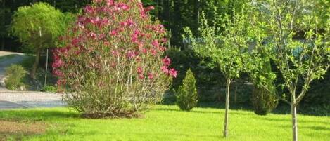 Overnattingsstedets uteområder