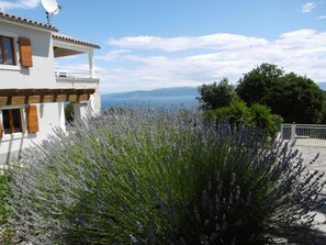 Un edificio blanco con un balcón, rodeado de plantas de lavanda.