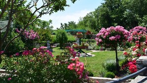 Un jardín con diversas plantas y flores, una estatua y un banco de piedra.