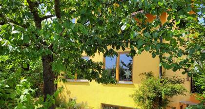 Essenheim by Interhome