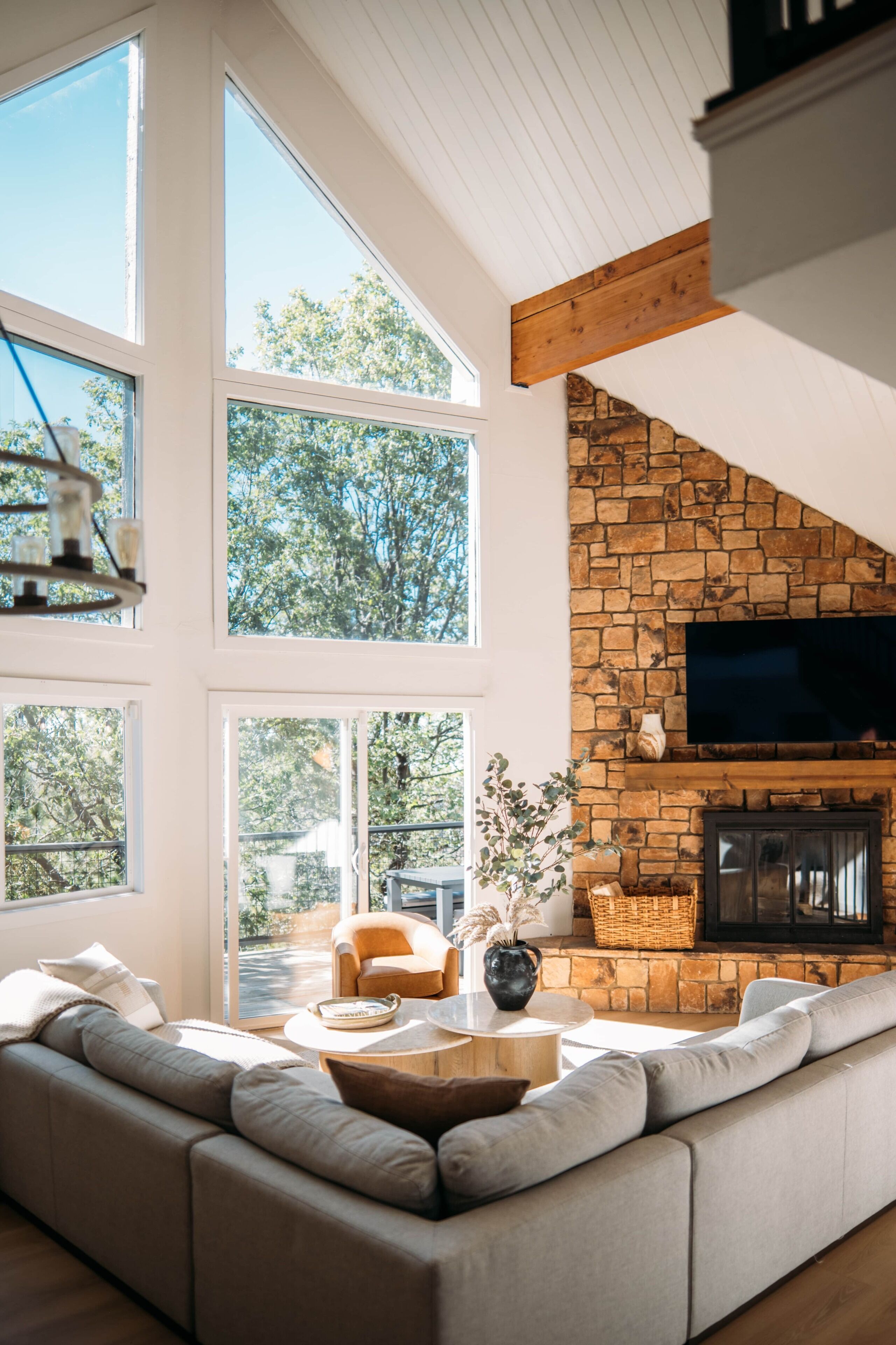 Smart TV, fireplace, books, music library