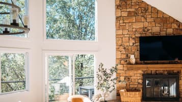 Smart TV, fireplace, books, music library