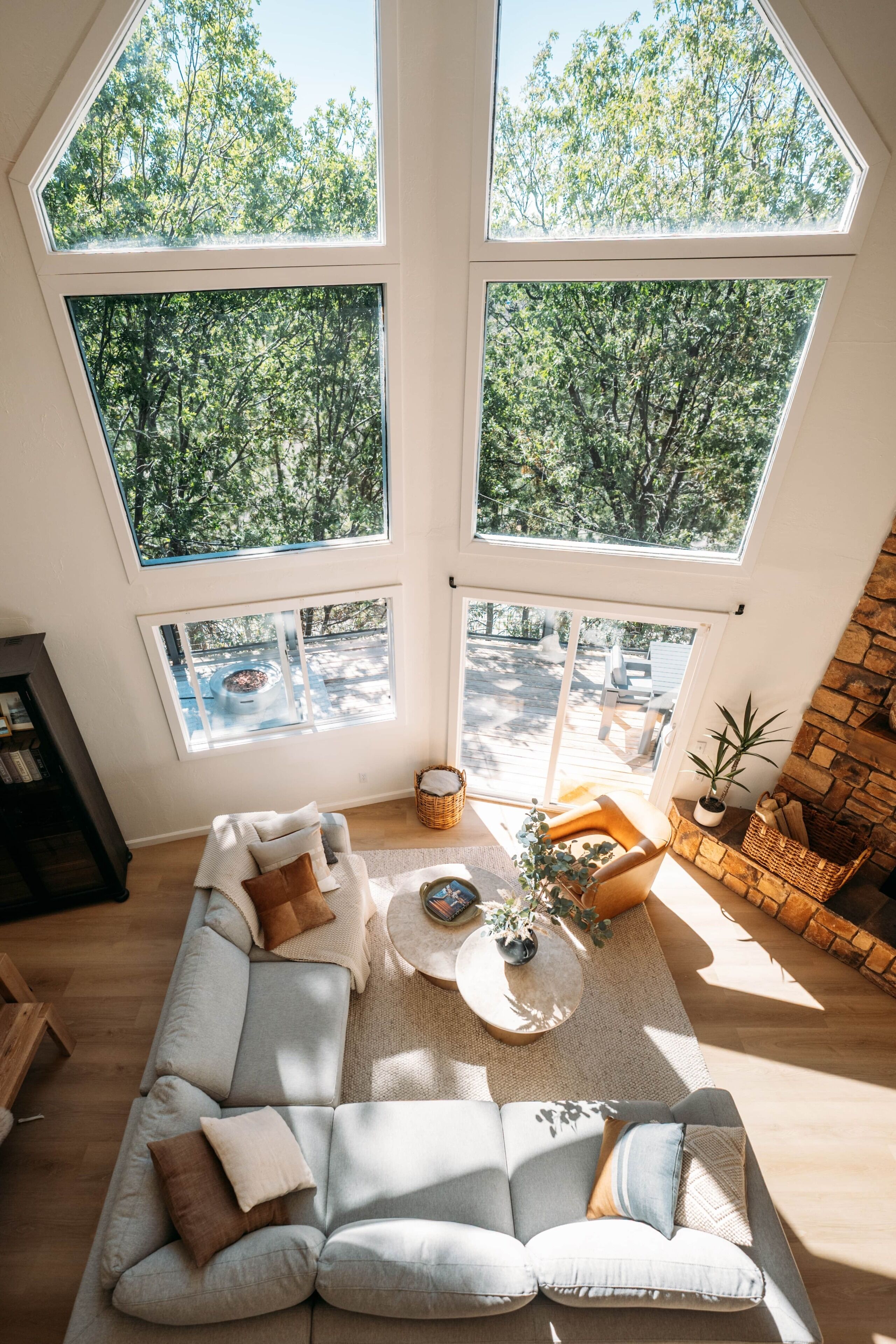 Smart TV, fireplace, books, music library
