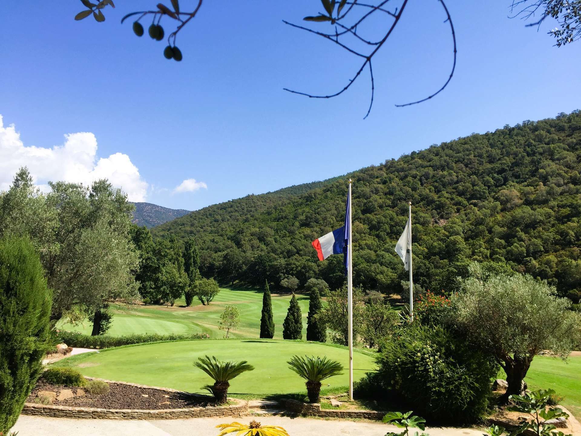 Campo de golf con banderas, árboles y montañas al fondo.