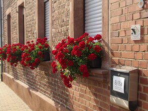 Detalle exterior