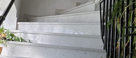 A concrete staircase with metal railings and potted plants.