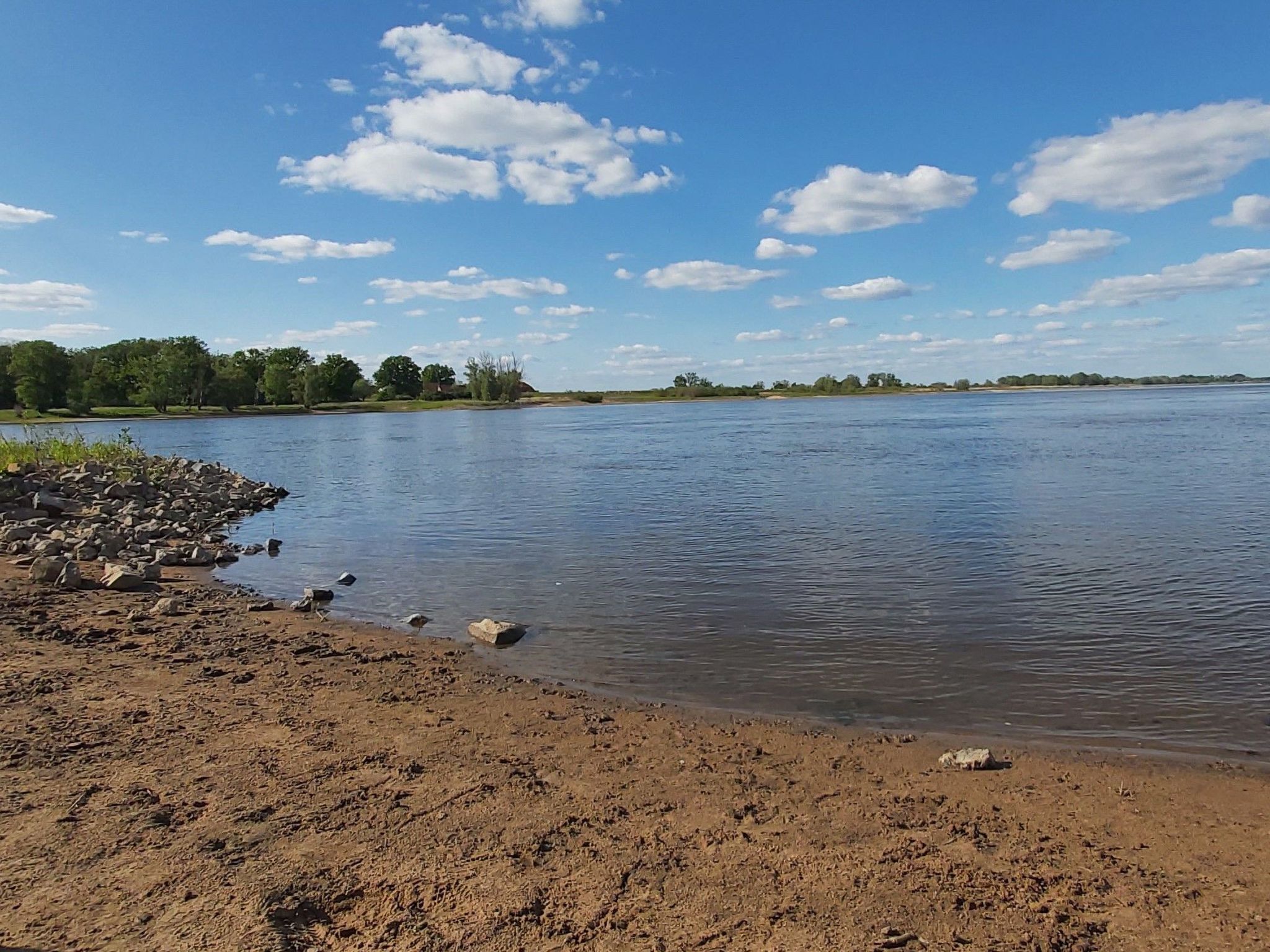 A riverbank with a rocky shoreline and trees in the background.