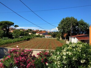 Property grounds - Wunderschöne Ferienwohnung in Ližnjan mit Garten, Grill und Terrasse by Interhome (Medulin/Ližnjan)