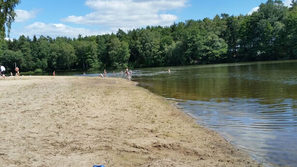 Una playa arenosa con un lago, rodeada de árboles.