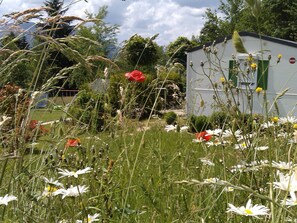 المنطقة المحيطة بالمنشأة