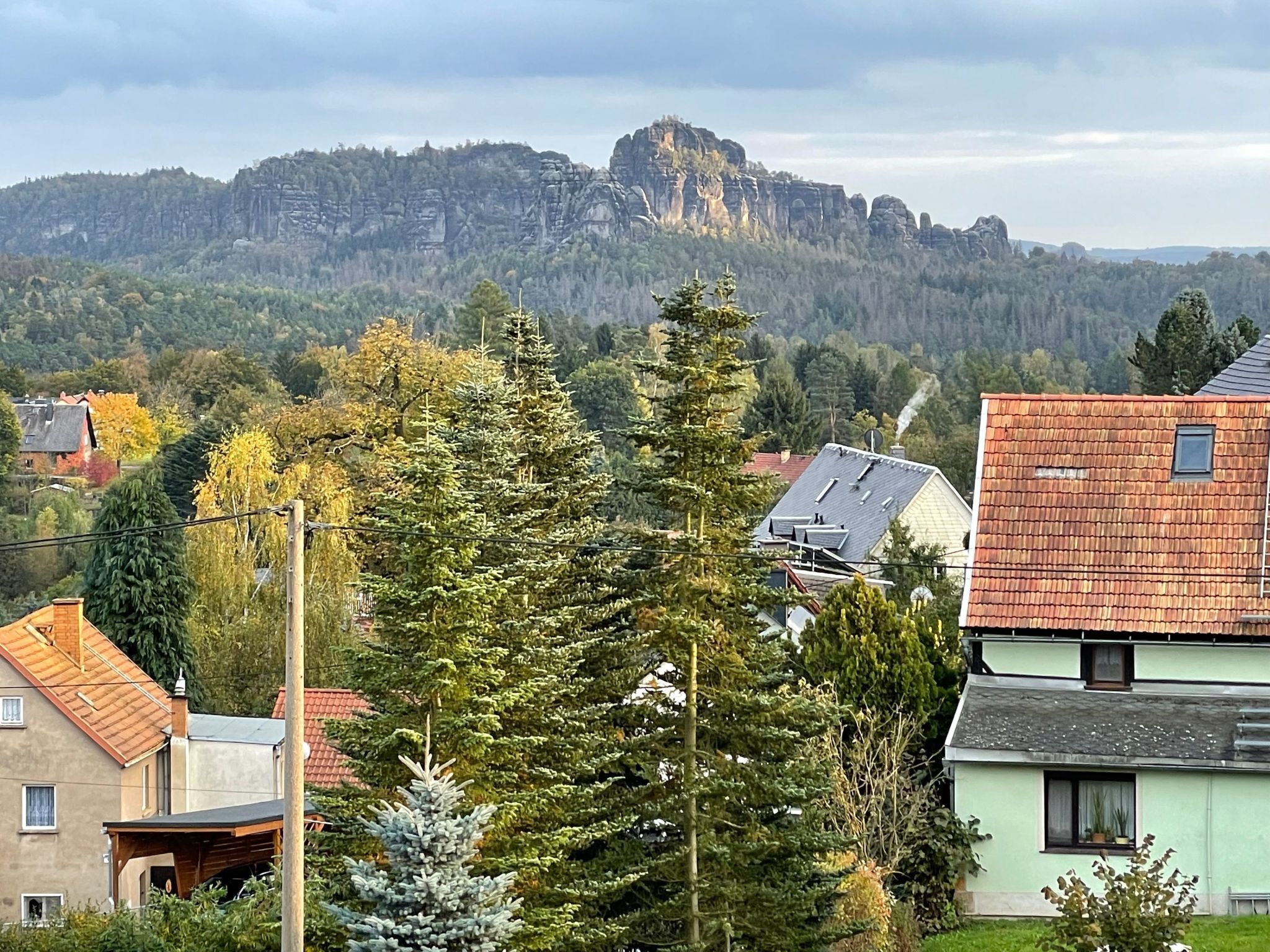 A residential area with houses, trees, and a mountain in the background.