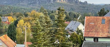 A residential area with houses, trees, and a mountain in the background.