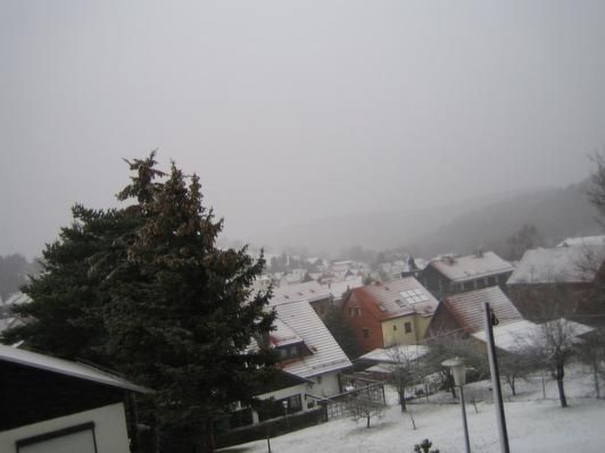 A residential area with houses covered in snow, a large evergreen tree in the foreground, and a foggy atmosphere.