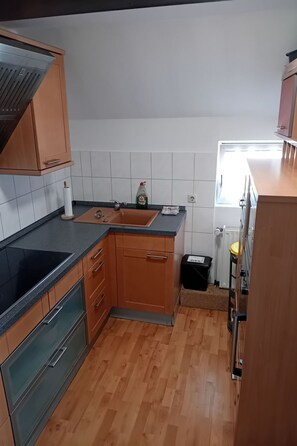 Fridge, microwave, oven, dishwasher - Hof Baethcke by Interhome (Wittenburg)