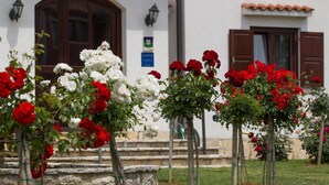A building with a stone staircase, wooden doors, and a sign indicating a rating. - Villa Liet 9. by Interhome (Poreč/Funtana)