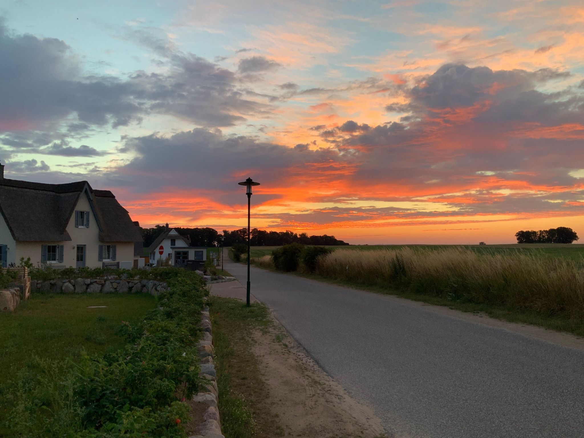 En landevej med huse på den ene side og et marker på den anden.