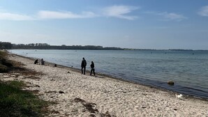 Una platja sorrenca amb una mar tranquil·la, algunes persones i arbres allunyats.