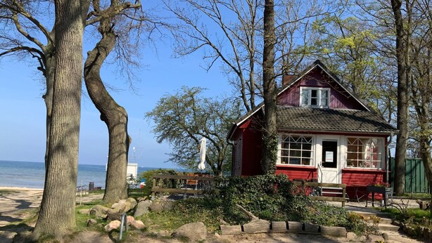 Una casa de fusta vermella petita amb una finestra i una porta blanques, envoltada d'arbres i una zona sorrenca.