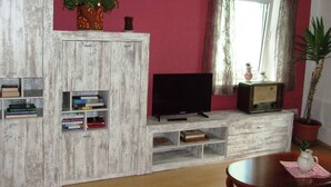 Un salon avec un téléviseur posé sur un meuble en bois, une bibliothèque, une fenêtre avec des rideaux et une plante en pot.