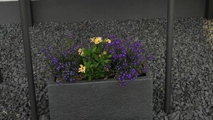 Un cartel que dice 'Alexandra', con un diseño decorativo, un jardín de flores moradas y amarillas, y una escalera al fondo.