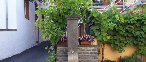 Àrea exterior de l'allotjament