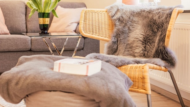 A cozy living room with a grey sofa, a wicker chair with a fur throw, and a vase with green plants on a glass table. - FeWo "Mosel Hygge" by Interhome (Winningen)