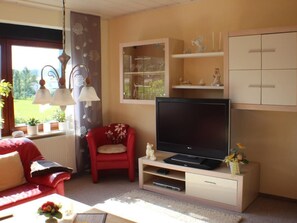 Fernseher, DVD-Player